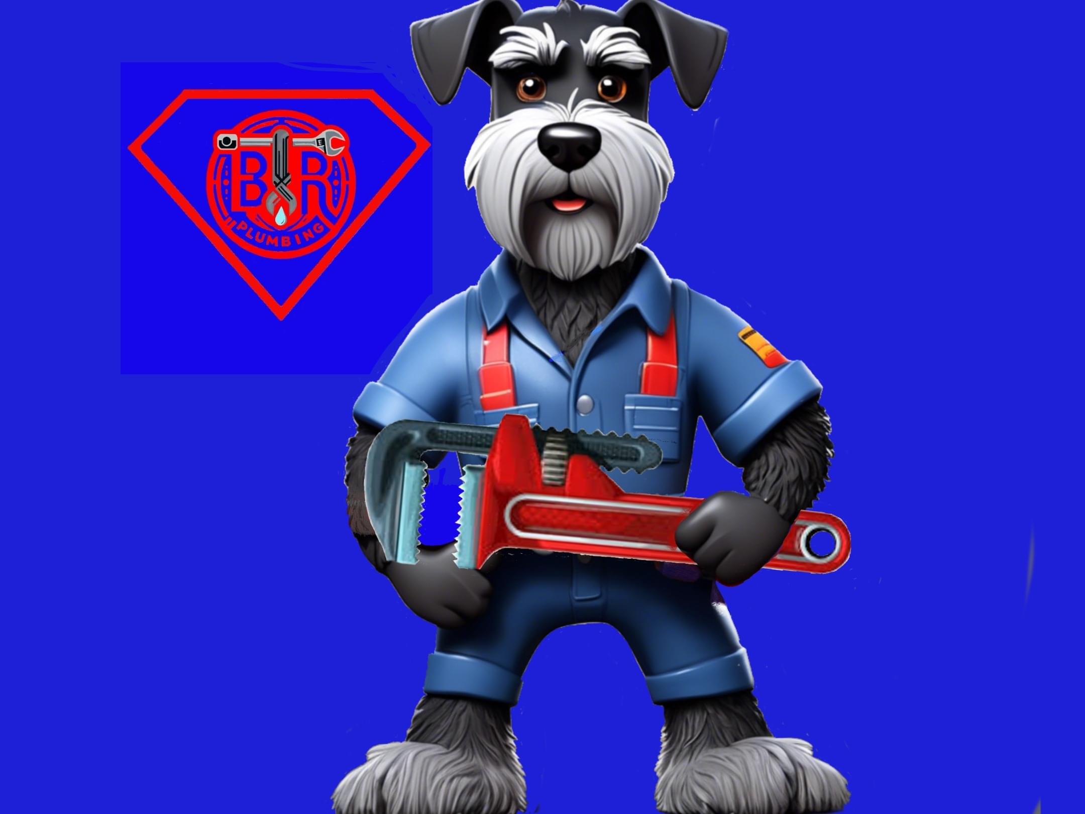 B and R Plumbing Services | Lee County Florida